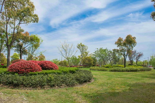 中工榜 公示 忻州市園林綠化工程公司優秀企業推薦