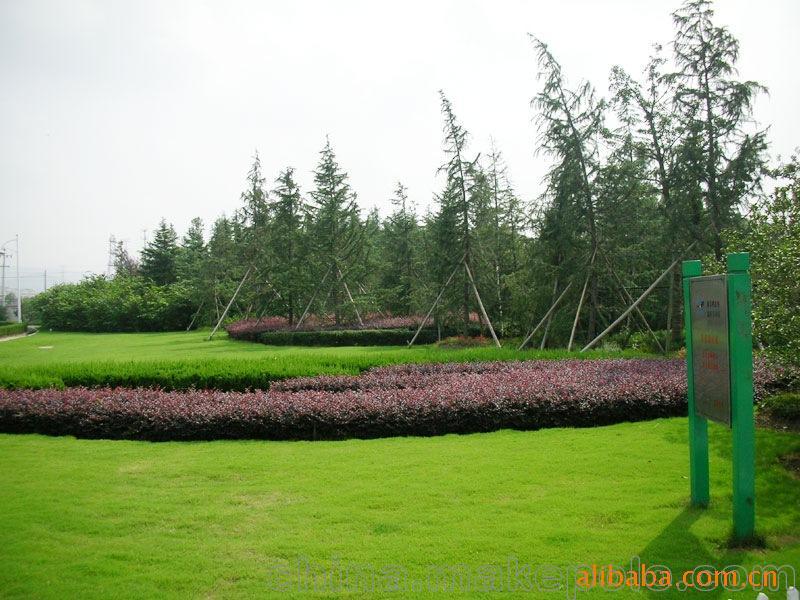 承攬綠化工程、園林施工、園林綠化工程養護