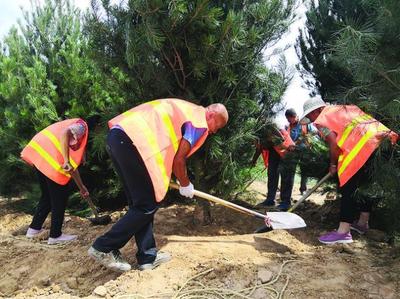 全面開展呂梁市區增綠工程