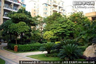 植物配置,花鏡設(shè)計參考實景圖片的圖片瀏覽,園林節(jié)點照片,綠化,園林景觀設(shè)計施工圖紙資料下載