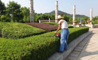 園林綠化施工的五大注意事項(xiàng),知識(shí)要點(diǎn)