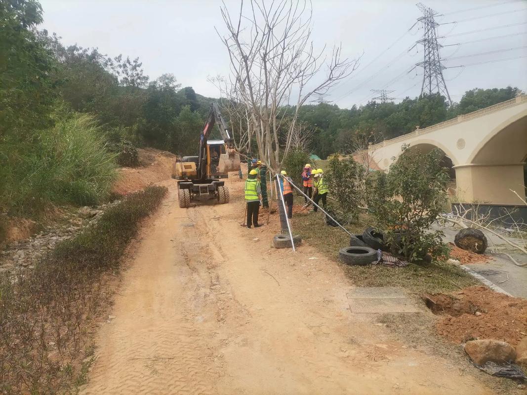 植樹(shù)節(jié),種樹(shù)#園林綠化工程 #施工現(xiàn)場(chǎng)實(shí)拍